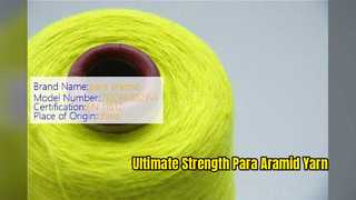 High Strength Para Aramid Yarn for Industrial Protective Wear