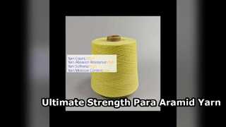 High Strength Para Aramid Yarn for Industrial Protection